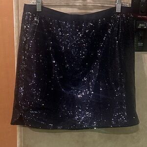 J. Crew Midnight Sequin Mini Skirt